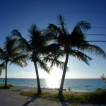 DSCN2957_Bimini_800