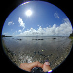 DSCN2993_800