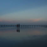 IMG_8761_1000x600