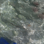 bimini
