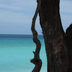 bimini_4 copy